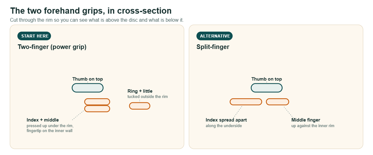 Cross-section diagram of an ultimate frisbee disc showing the two-finger power grip and the split-finger forehand grip: thumb on top, fingers pressed up under the inside of the rim.