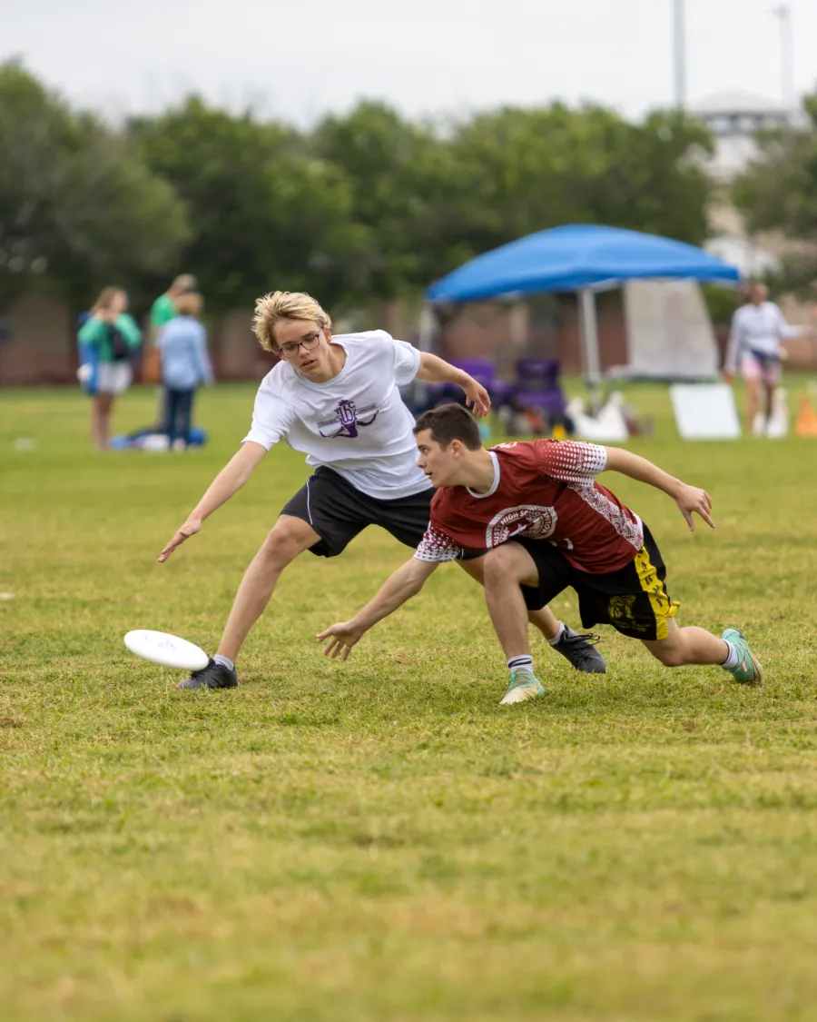 Two ultimate frisbee players diving low for a disc close to the grass